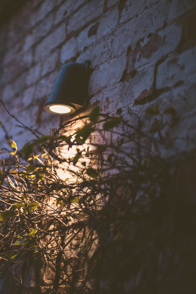 Litle Light for the Vines